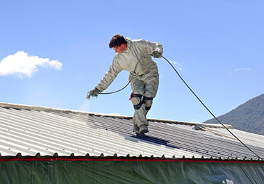 Roof Coatings